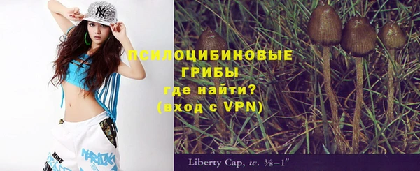 2c-b Рославль